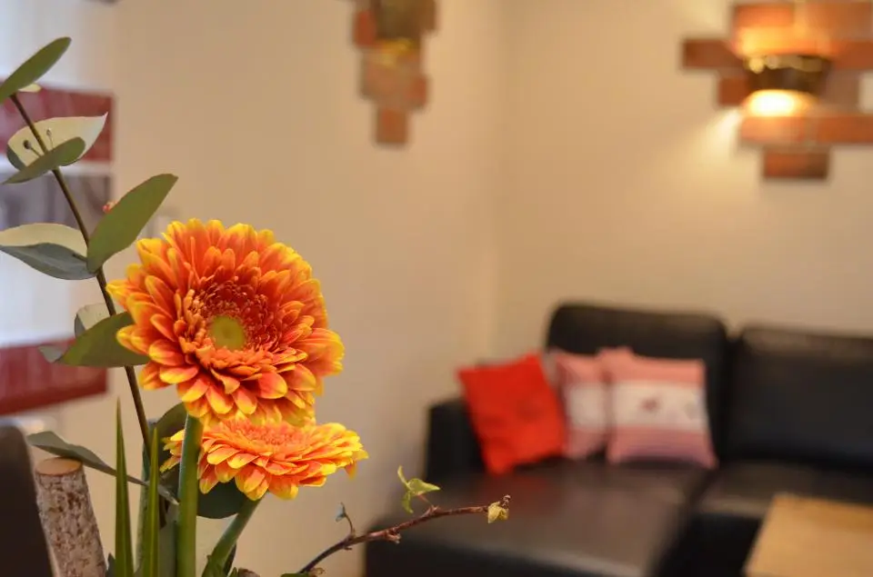 Ferienwohnung Sonnenblume