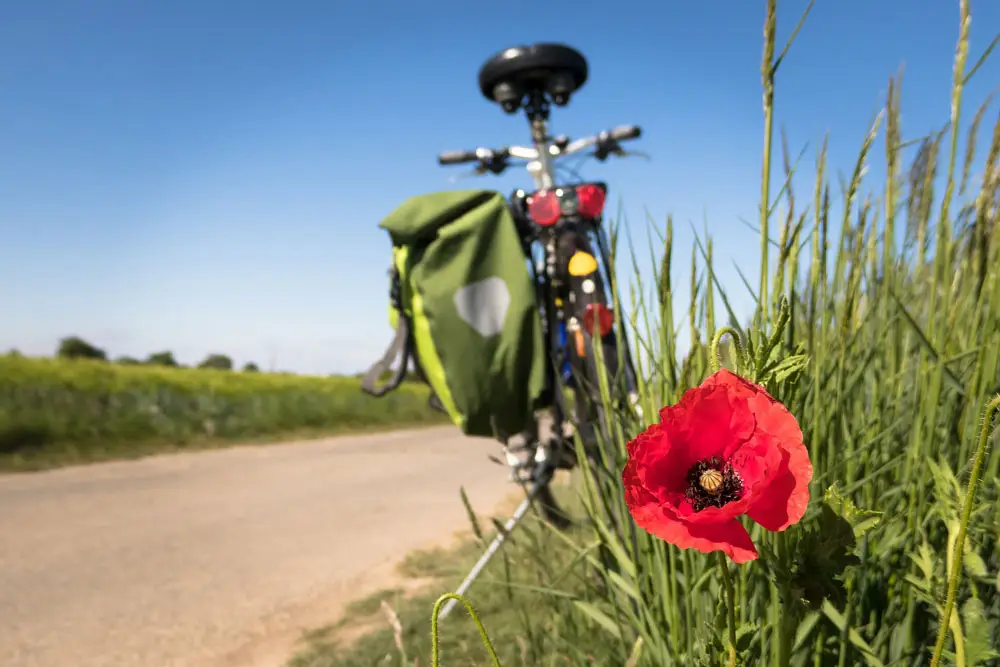E-Bike Verleih
