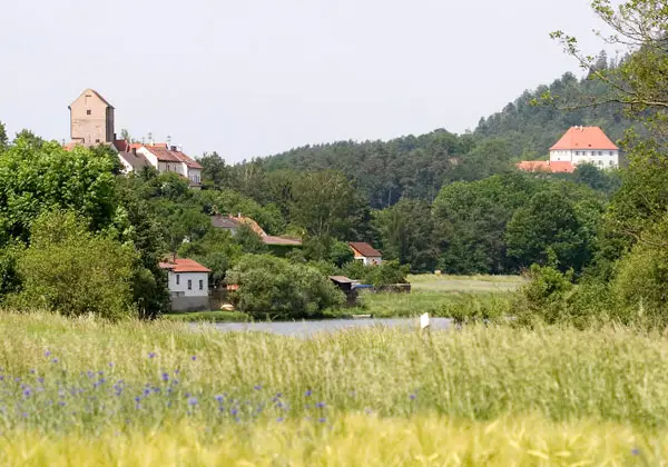 Burgruine Hof