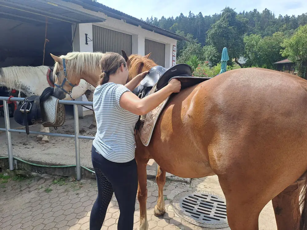 Nach dem Reiten wir alles wieder aufgeräumt.