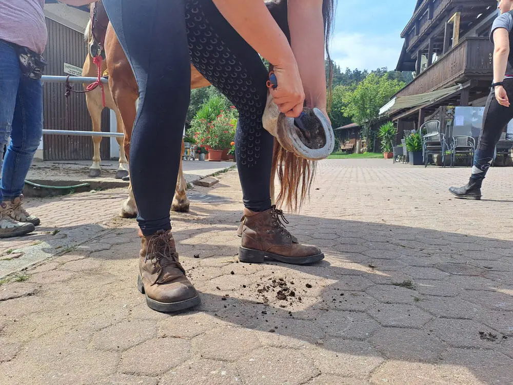 Mit sauberen Hufen ist es gleich viel besser!